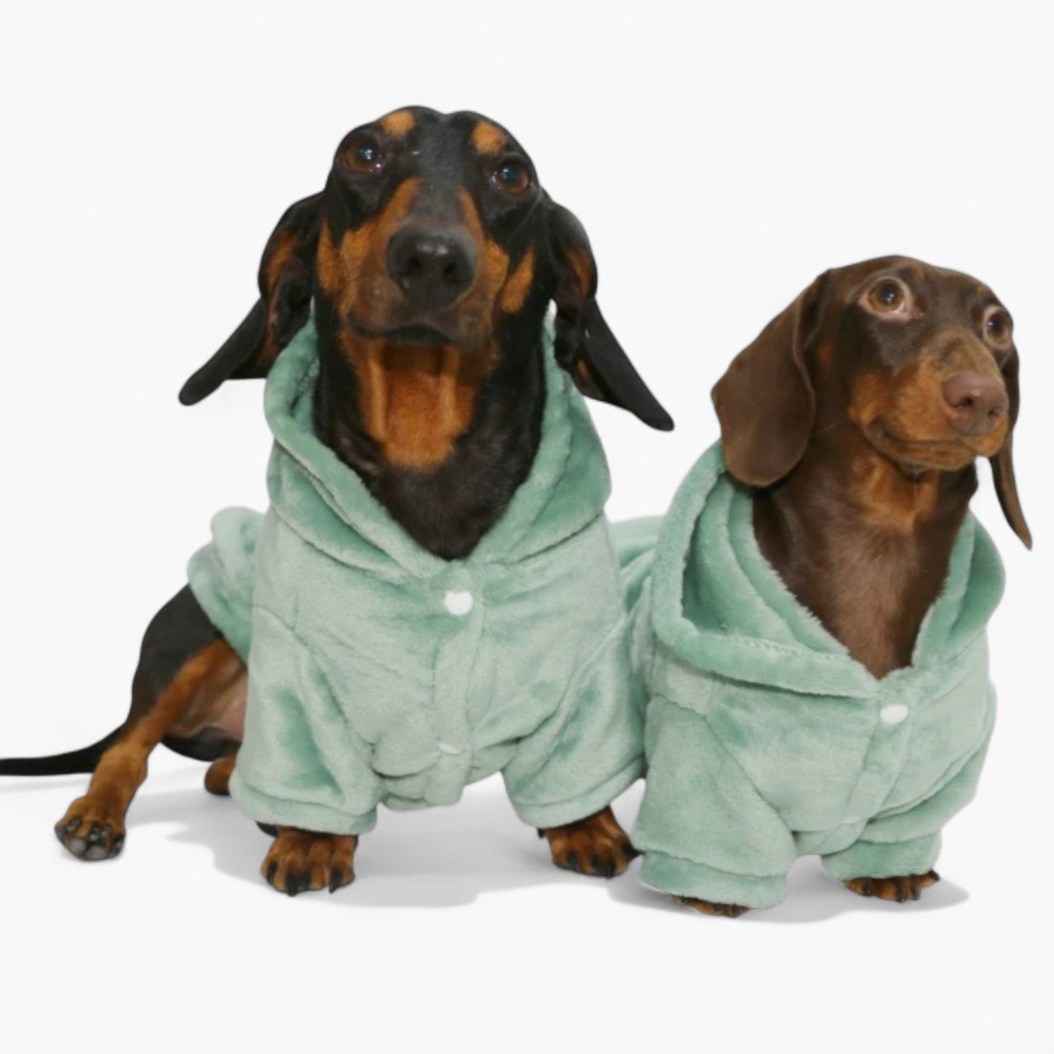 DoxieHood-Dachshund-Fleece-Hoodie.jpg