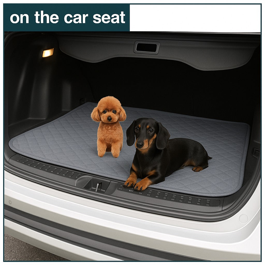 Dachshund Urine Mat– Soft Absorbent Washable Mat