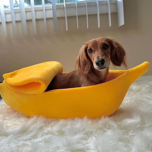 DoxieNest Dachshund Banana Bed