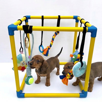 DoxiePlay-Dachshund-Activity-Gym.jpg