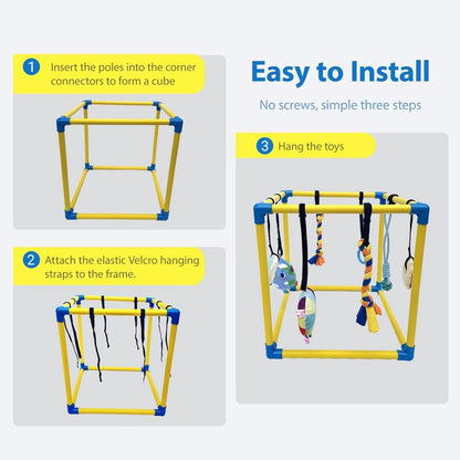 DoxiePlay-Dachshund-Activity-Gym.jpg