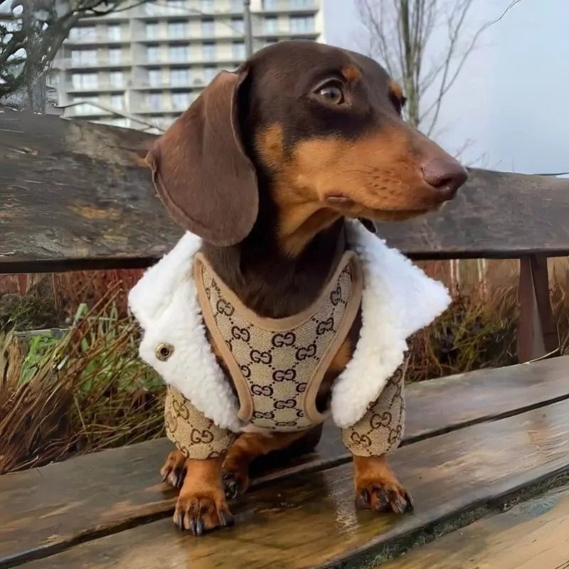 DoxieSnug Dachshund Winter Jacket