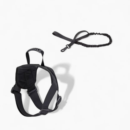 DoxieTrek-Dachshund-Harness-Leash-Set.jpg