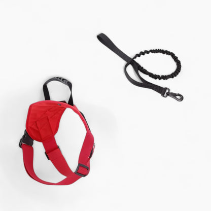 DoxieTrek-Dachshund-Harness-Leash-Set.jpg