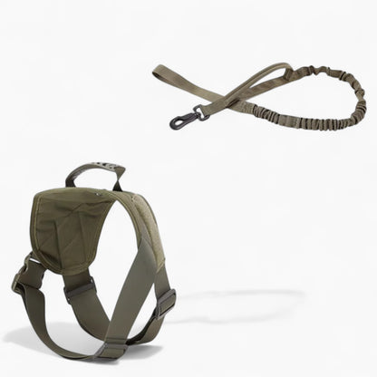 DoxieTrek-Dachshund-Harness-Leash-Set.jpg