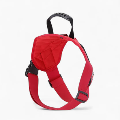 DoxieTrek-Dachshund-Harness-Leash-Set.jpg