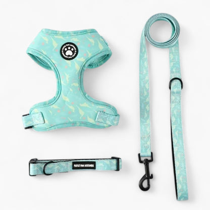 DoxieWalk-Dachshund-Harness-Set.jpg