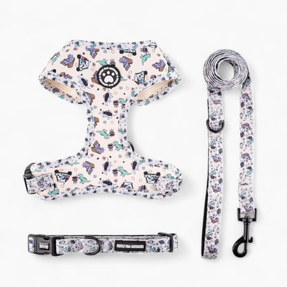 DoxieWalk-Dachshund-Harness-Set.jpg