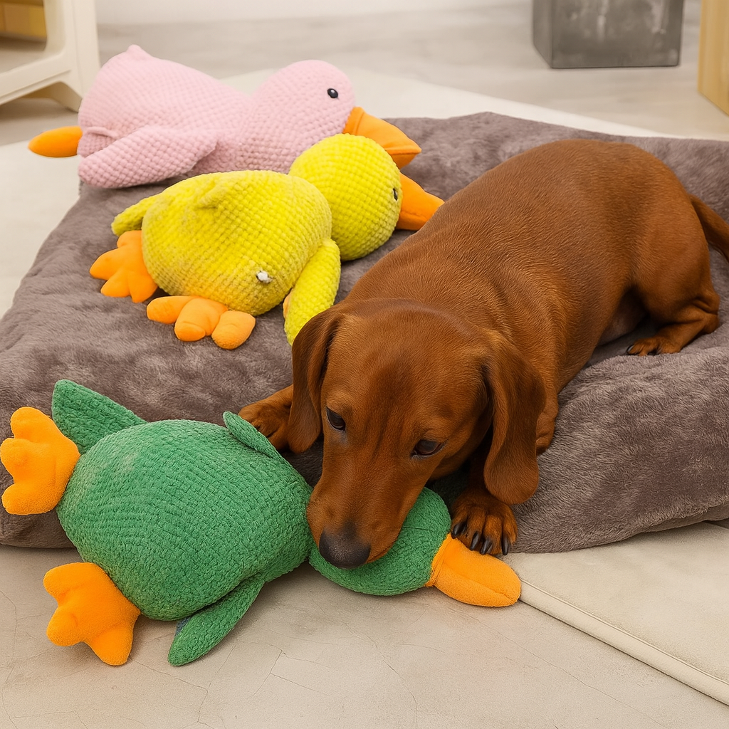 DuckPaw-Dachshund-Sleeping-Toy.jpg