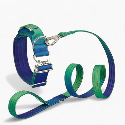 DuraPaw-Dachshund-Gradient-Collar-Leash-Set.jpg