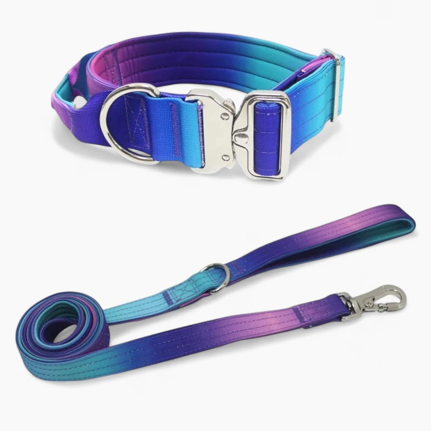 DuraPaw-Dachshund-Gradient-Collar-Leash-Set.jpg