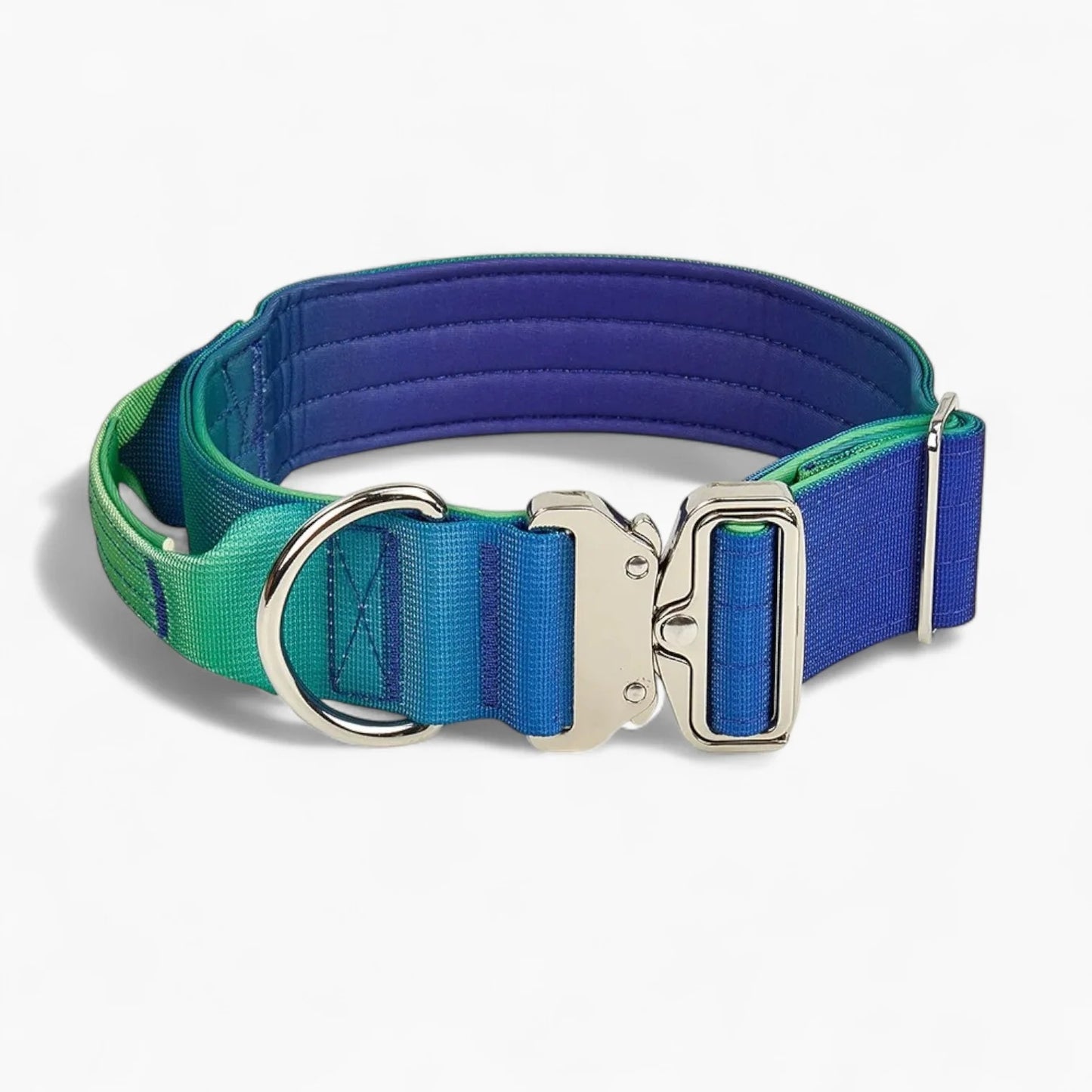 DuraPaw-Dachshund-Gradient-Collar-Leash-Set.jpg