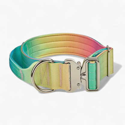 DuraPaw-Dachshund-Gradient-Collar-Leash-Set.jpg