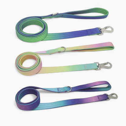 DuraPaw-Dachshund-Gradient-Collar-Leash-Set.jpg