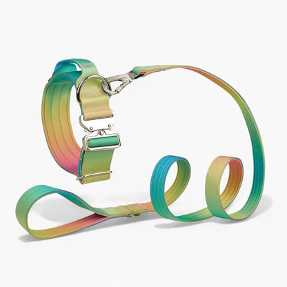 DuraPaw-Dachshund-Gradient-Collar-Leash-Set.jpg