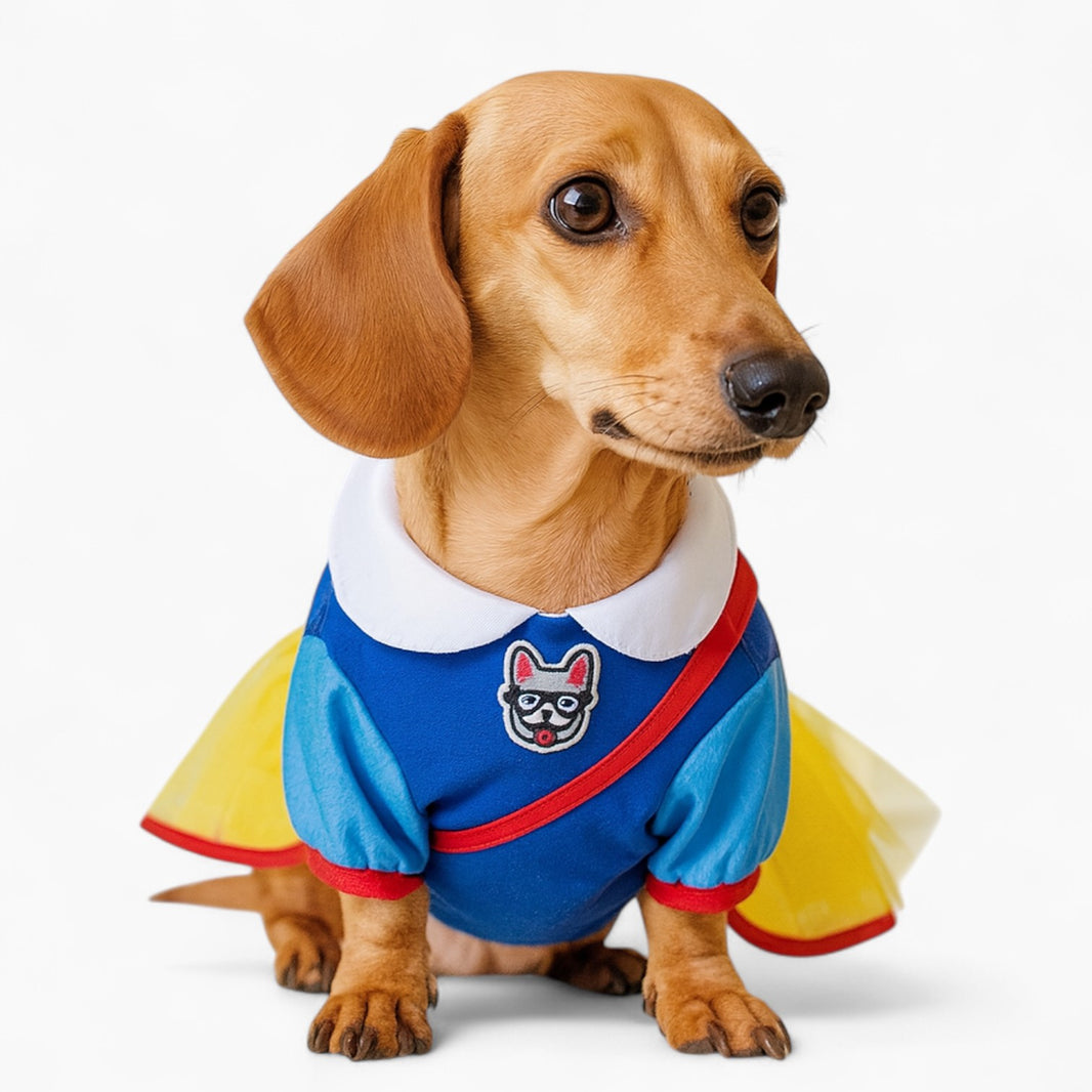 Halloween Dachshund Costumes Dachshund Shop — free download