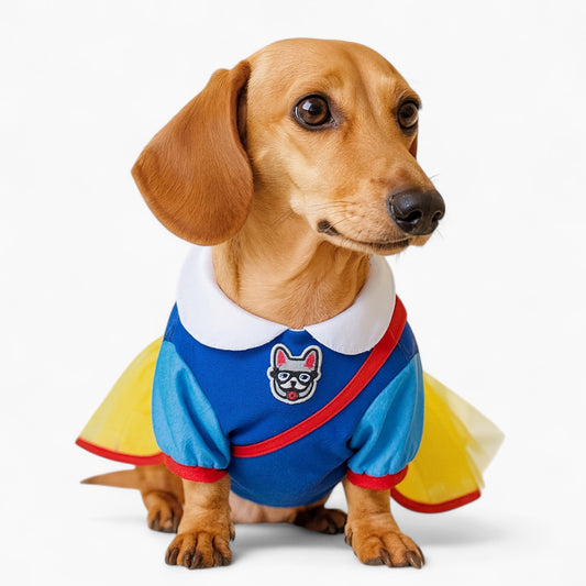 FairyTail-Dachshunds-Princess-Costume.jpg