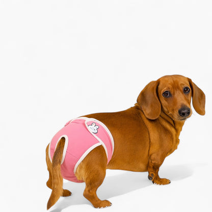 Fangaroo-Dachshund-Physiological-Pants.jpg