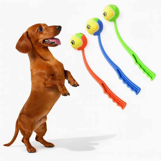 FetchPup-Dachshund-Ball-Launcher.jpg