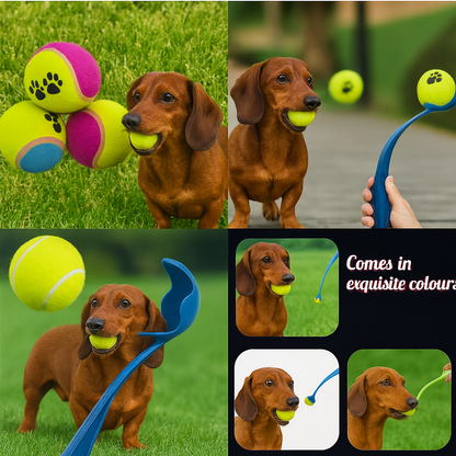 FetchPup-Dachshund-Ball-Launcher.jpg