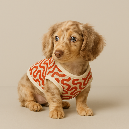 Finn -  Shirt for Dachshunds