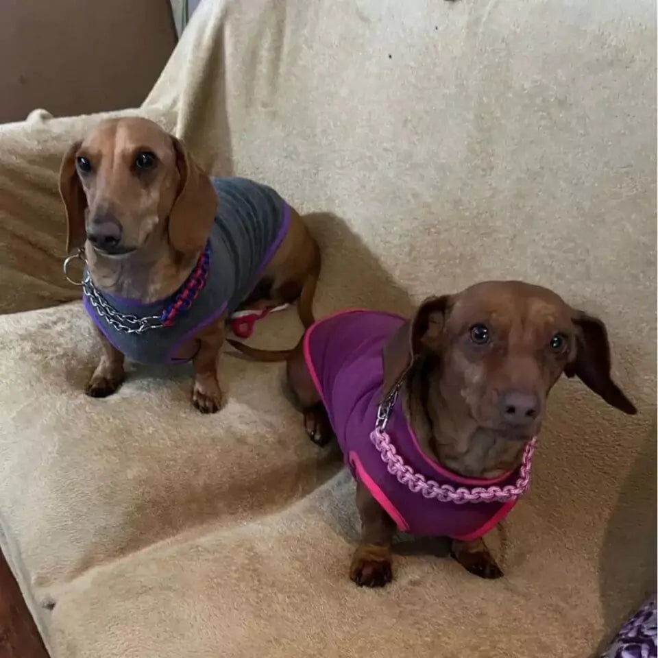 Cozy-Doxie-Sweater-Soft-Fleece-Vest-for-Your-Dachshund-doxie.us