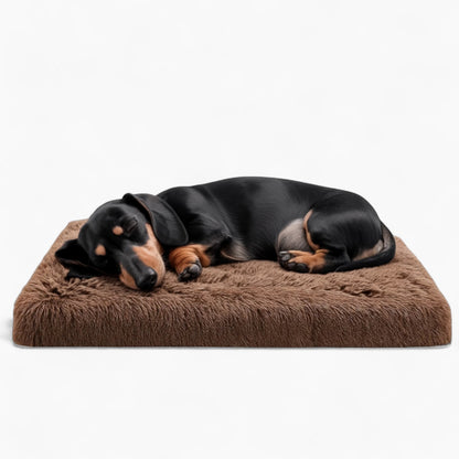 FlexiBed-Dachshund-Portable-Bed.jpg
