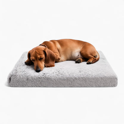 FlexiBed-Dachshund-Portable-Bed.jpg
