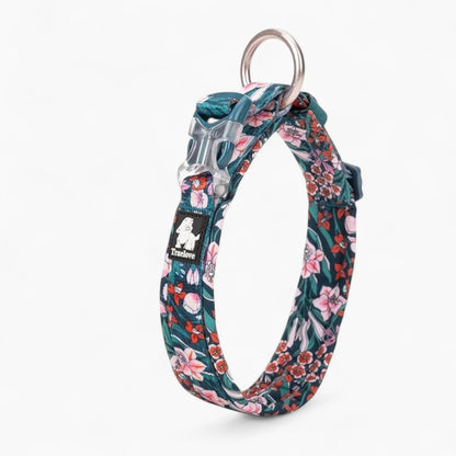 Florish-Dachshund-Floral-Collar.jpg