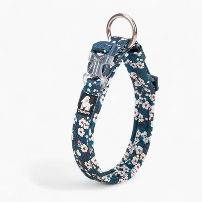 Florish-Dachshund-Floral-Collar.jpg