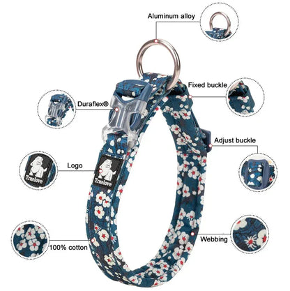 Florish-Dachshund-Floral-Collar.jpg
