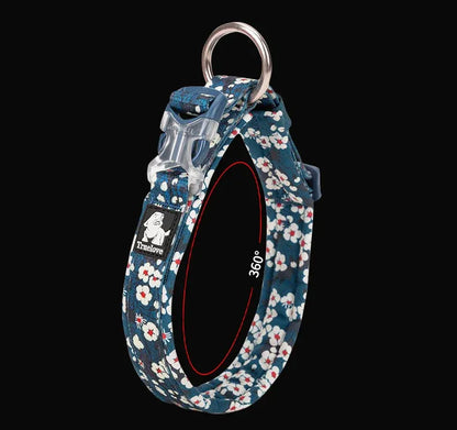 Florish-Dachshund-Floral-Collar.jpg
