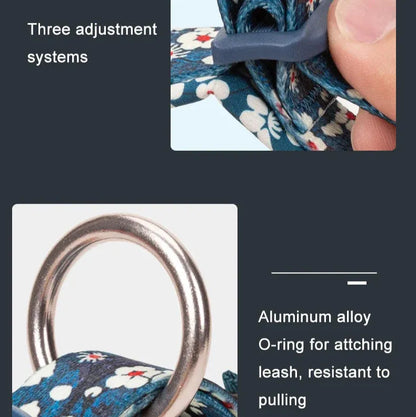 Florish-Dachshund-Floral-Collar.jpg