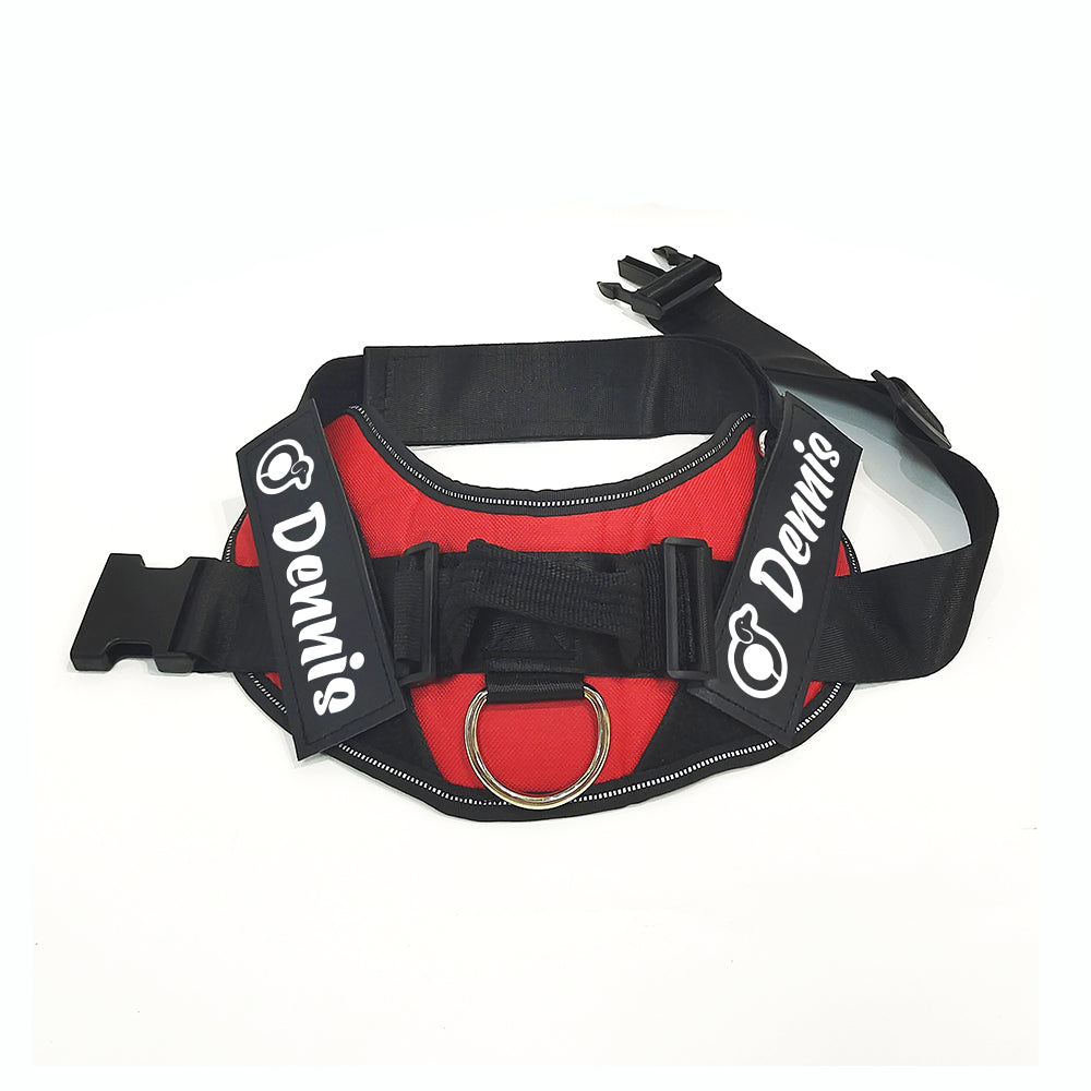 Dodge - Personalized Dachshund Harness
