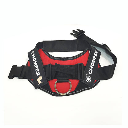 Rollo - Personalized Dachshund Harness