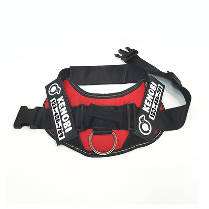 Lucifer - Personalized Dachshund Harness
