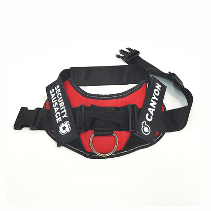 Church - Personalized Dachshund Harness