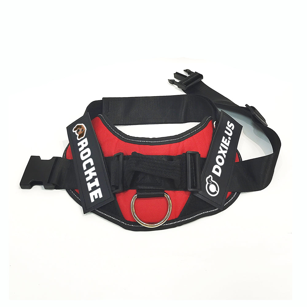 Tahoe - Personalized Dachshund Harness