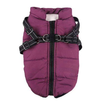 FrostGuard waterproof winter harness jacket on a dachshund, view 4