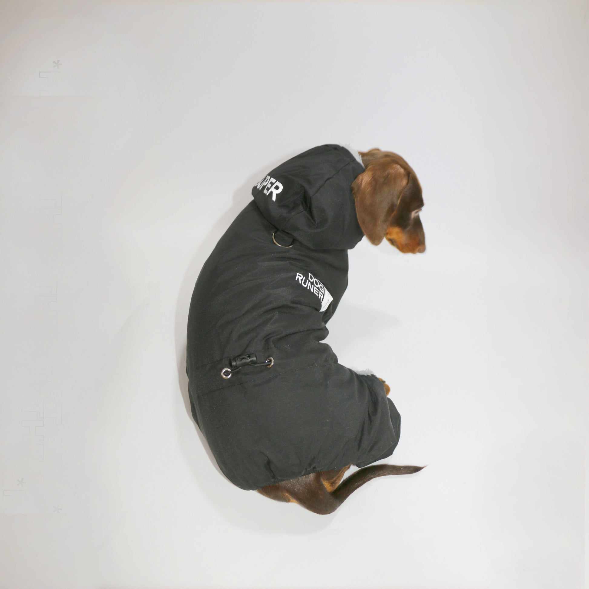 FrostPaw-Dachshund-Winter-Snowsuit.jpg