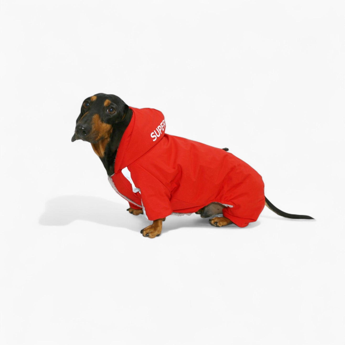 FrostPaw-Dachshund-Winter-Snowsuit.jpg