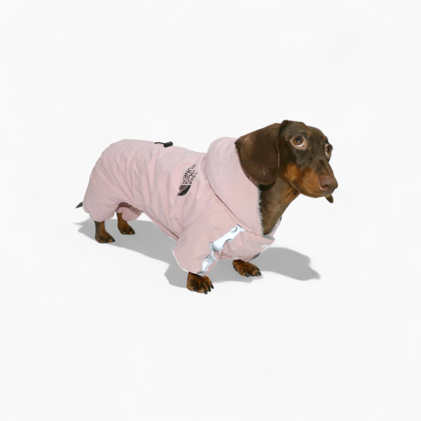 FrostPaw-Dachshund-Winter-Snowsuit.jpg
