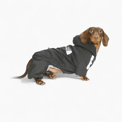 FrostPaw-Dachshund-Winter-Snowsuit.jpg