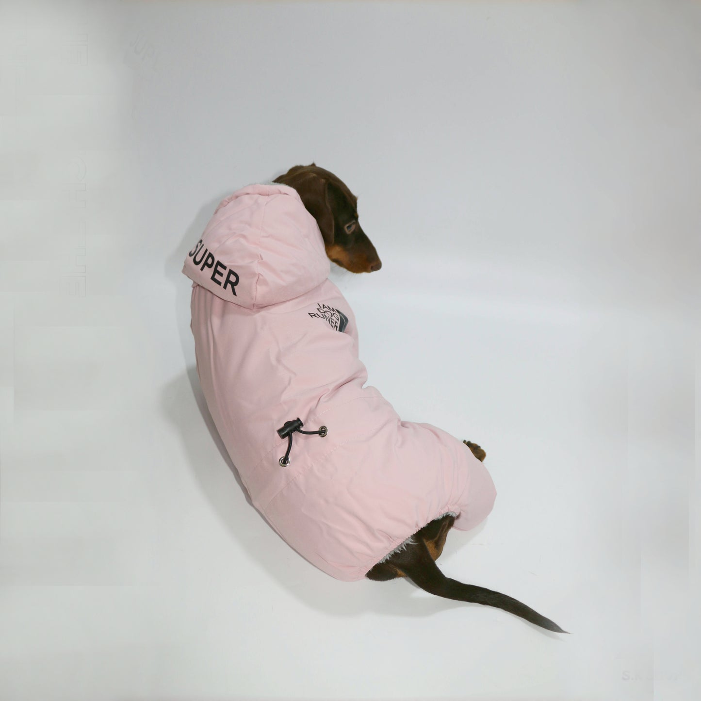 FrostPaw-Dachshund-Winter-Snowsuit.jpg