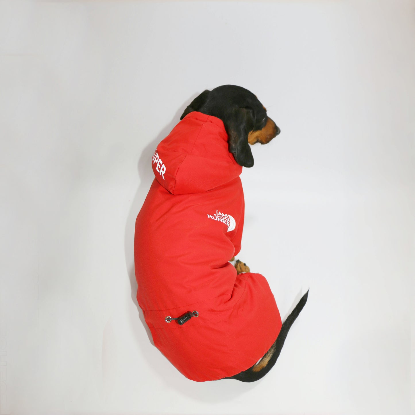 FrostPaw-Dachshund-Winter-Snowsuit.jpg