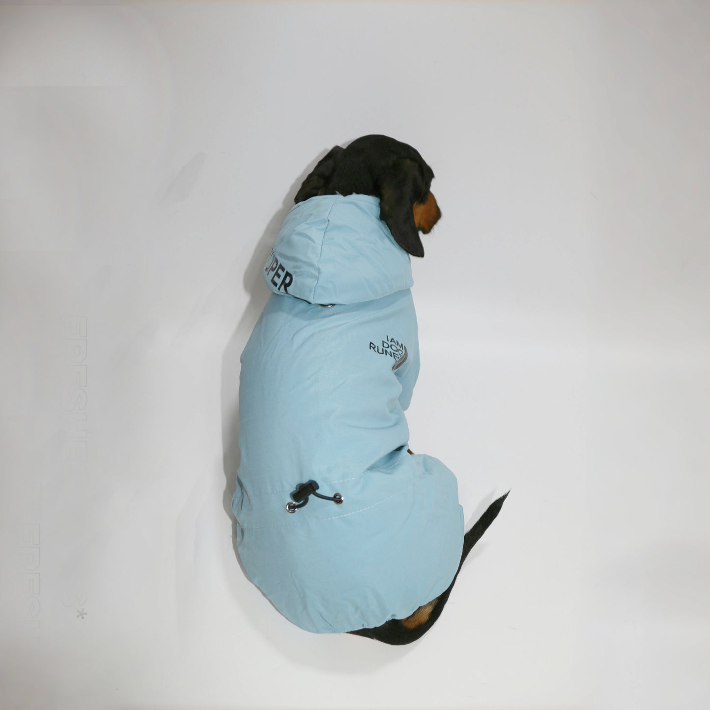 FrostPaw-Dachshund-Winter-Snowsuit.jpg