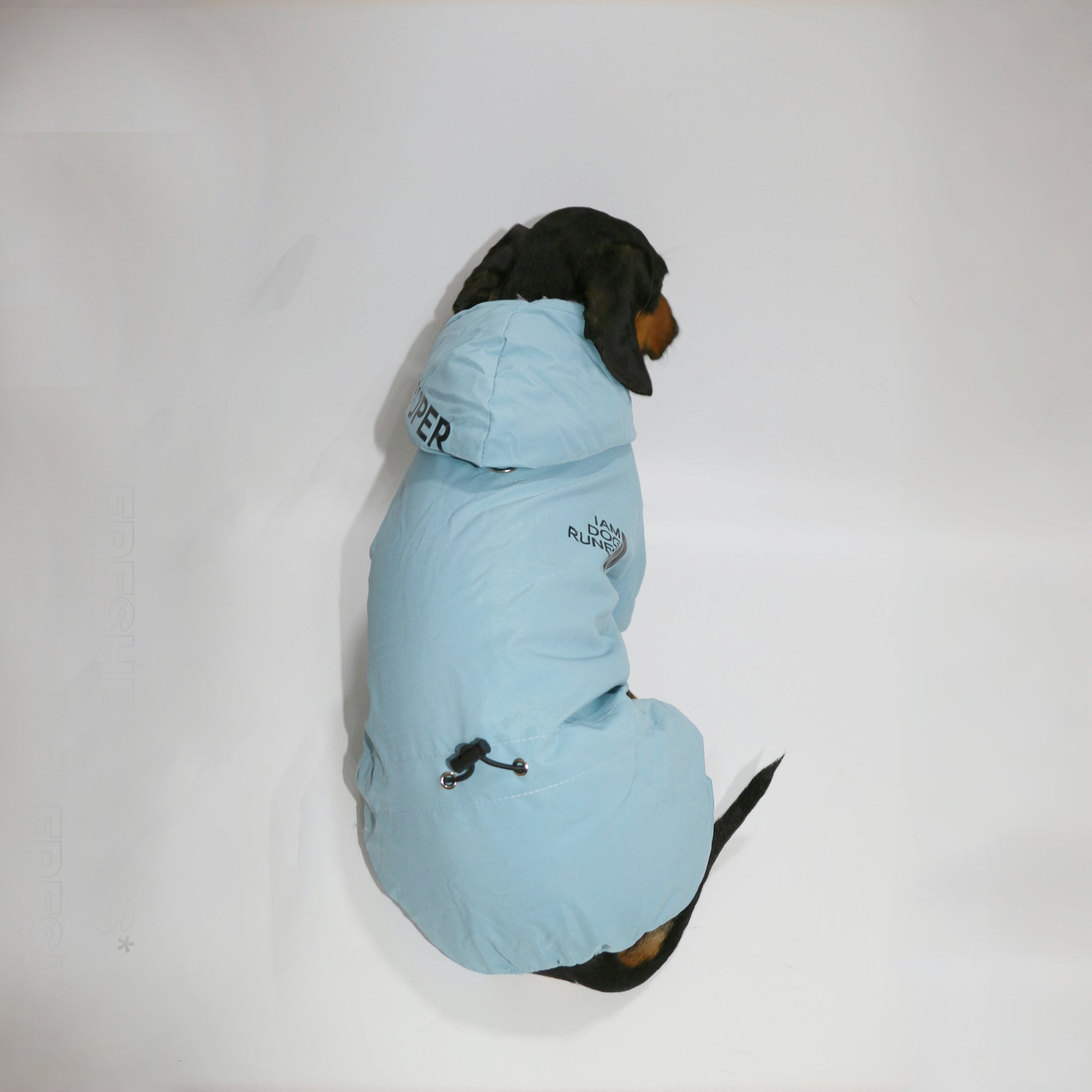 FrostPaw-Dachshund-Winter-Snowsuit.jpg