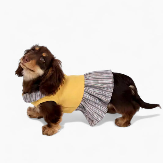 FurBelle-Dachshund-Doll-Collar-Dress.jpg