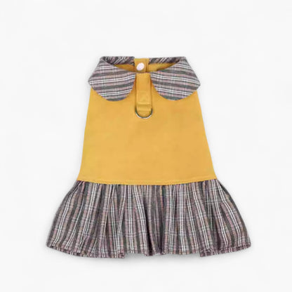 FurBelle-Dachshund-Doll-Collar-Dress.jpg