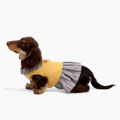 FurBelle-Dachshund-Doll-Collar-Dress.jpg